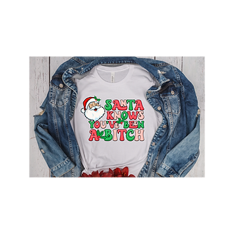 Santa Knows You've Been a Bitch