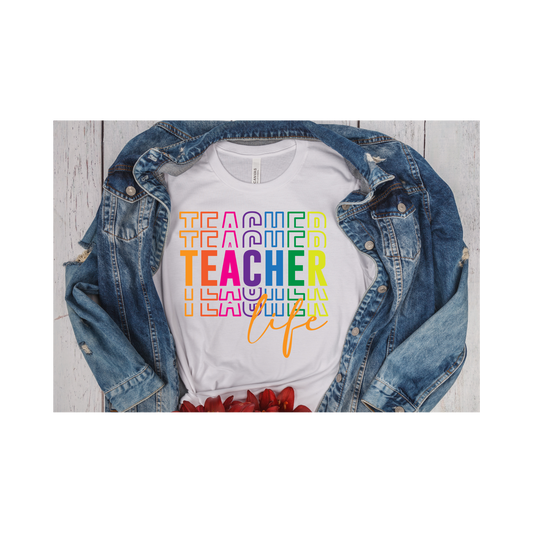 Teacher Life