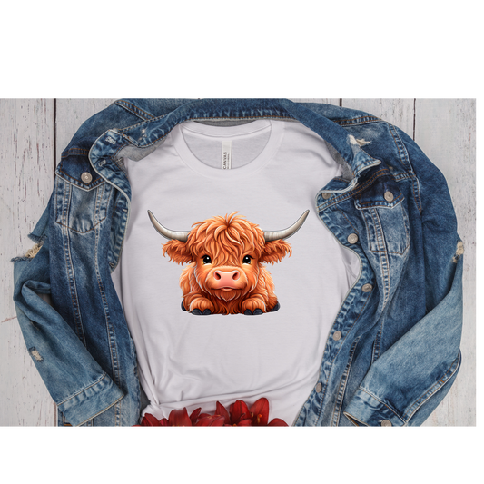 Highland Cow