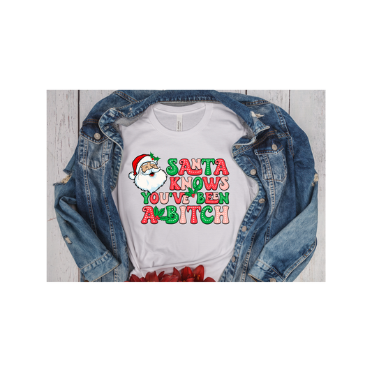 Santa's Knows Your A Bitch